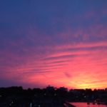 フィンガースピンサービス