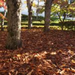 無理数の無理数乗は？