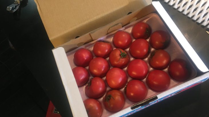 フルーツトマト